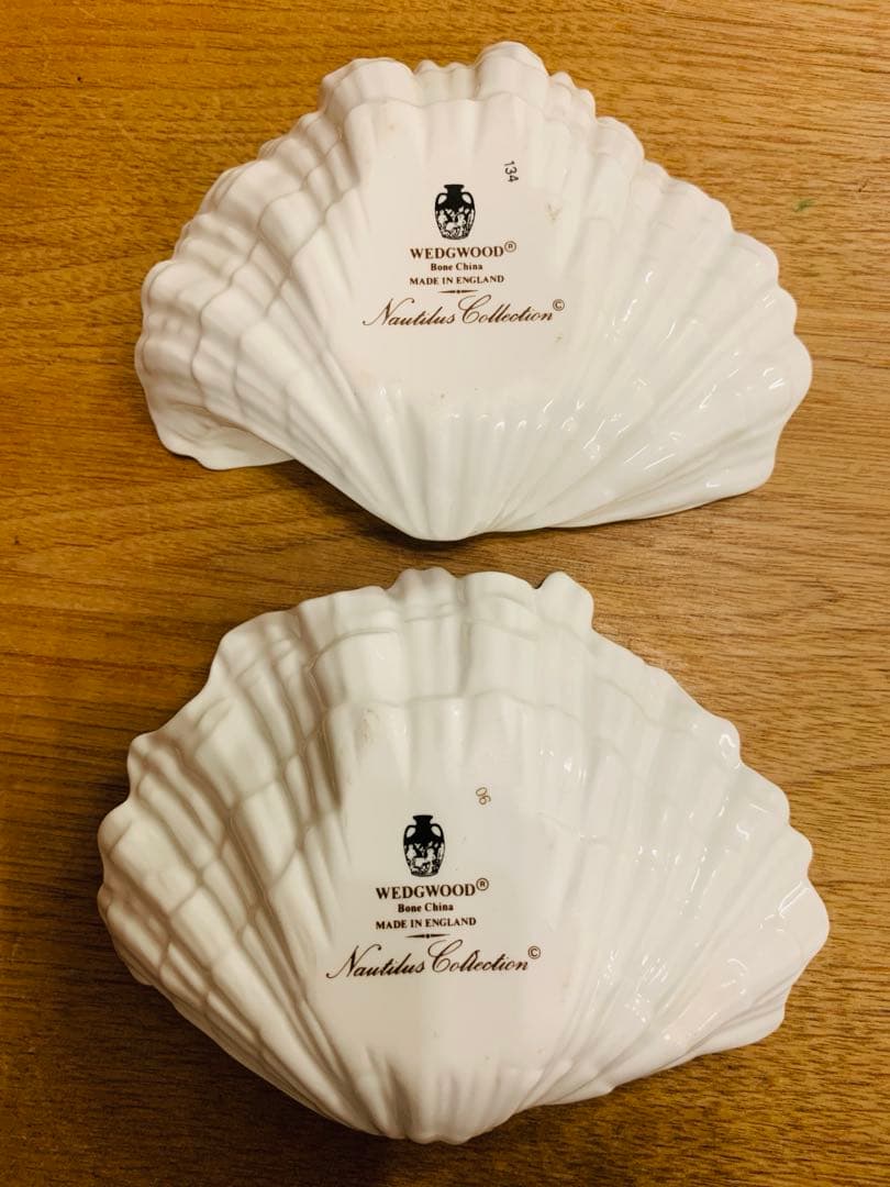  Nautilus collection 貝殻 小物入れ