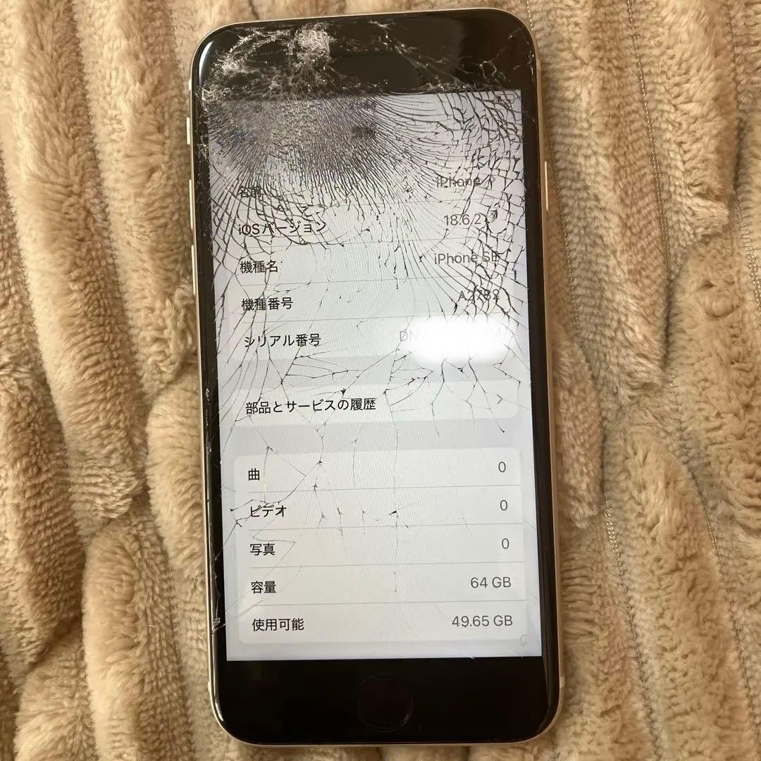 ジャンク　iPhone SE 第3世代　64GB
