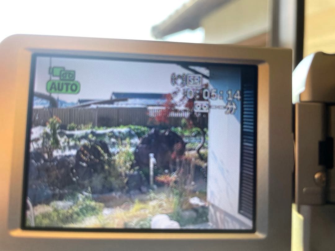 Canon IXY DV M5 デジタルビデオカメラ 本体