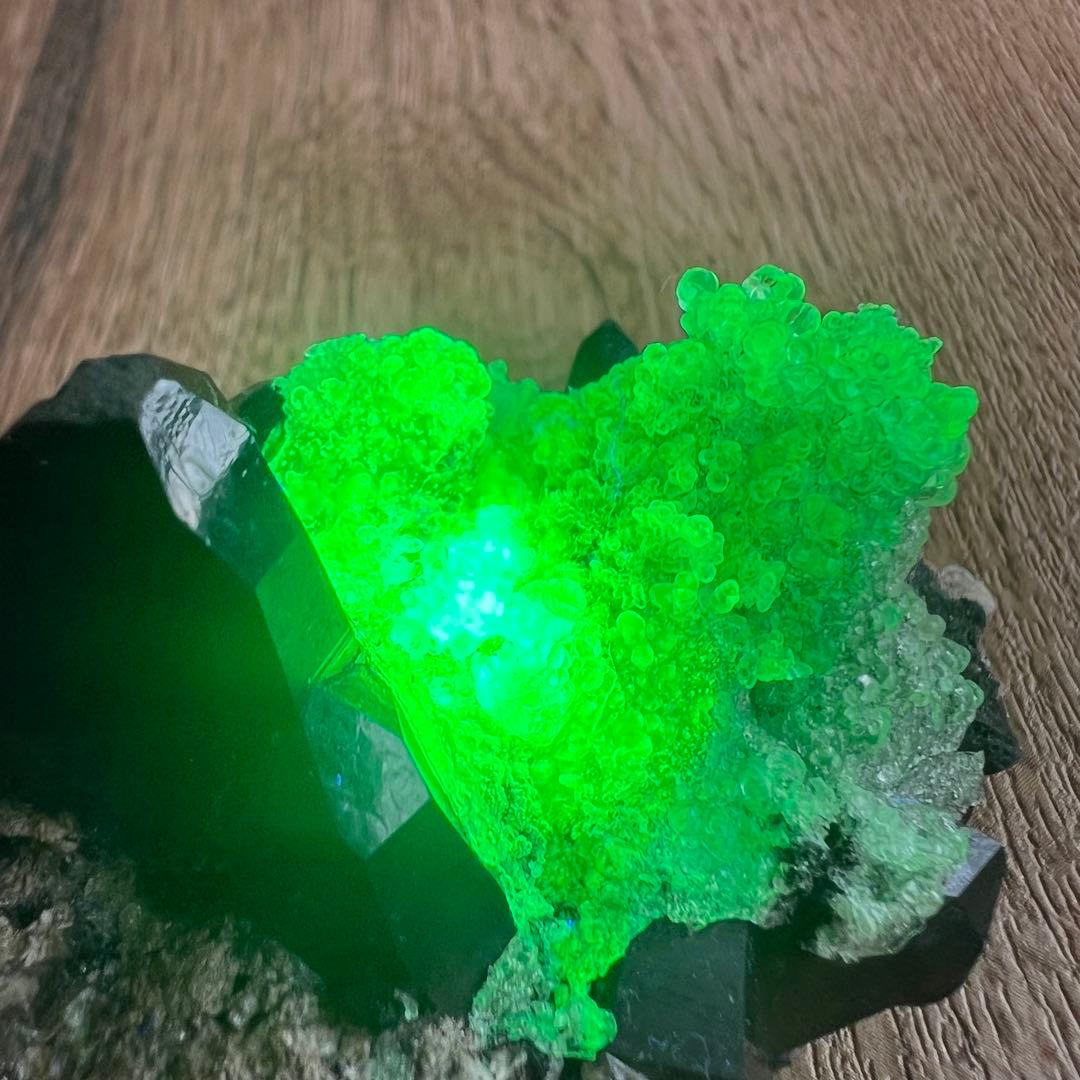 ハイアライトオパール スモーキークォーツ 共生 鉱物 標本 原石