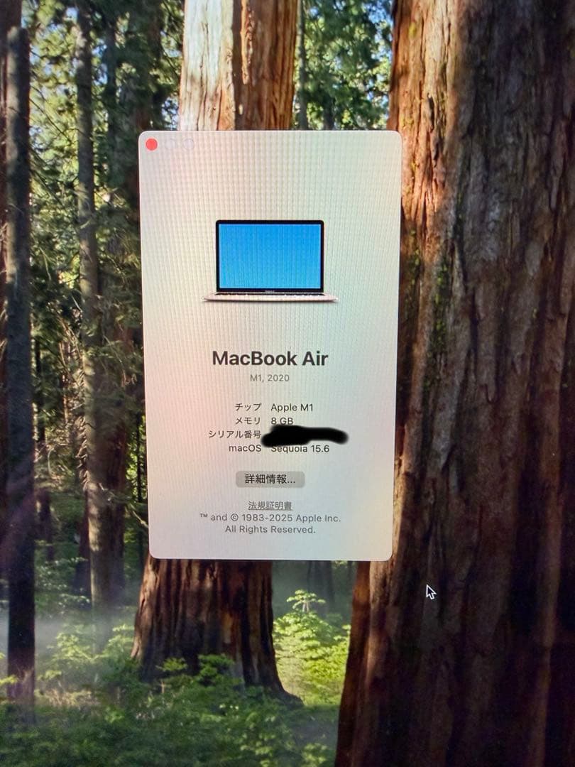 MacBook Air 2020 M1 8GB 256GB 13インチ