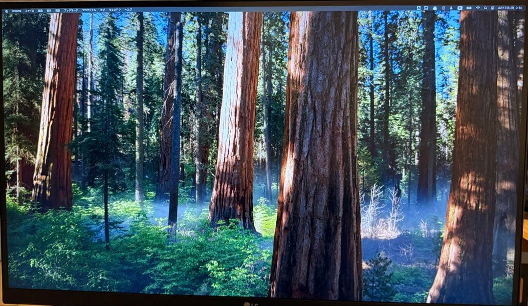 LG エルゴノミクス スタンド モニター 27UN880-B 27インチ/