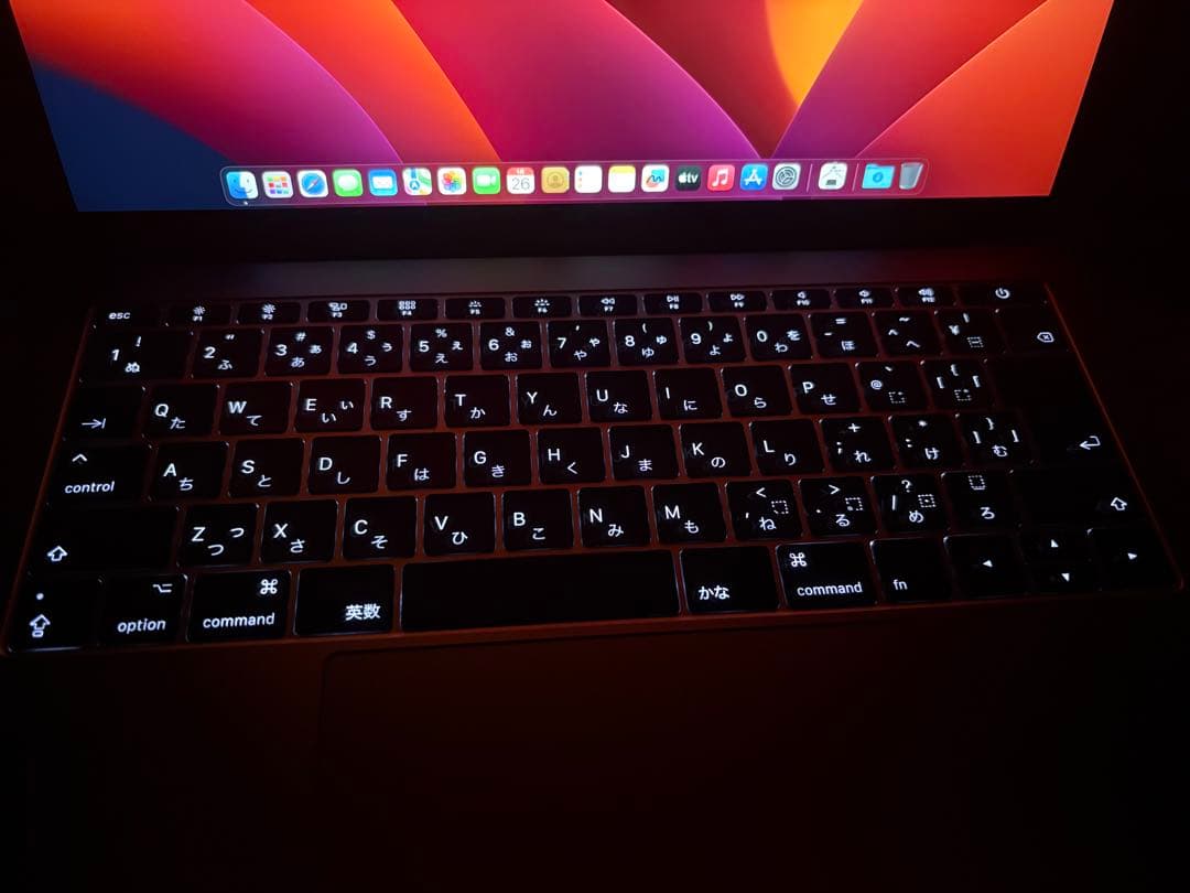 MacBook本体 Apple MacBook Pro A1708 i5/16GB/256GB