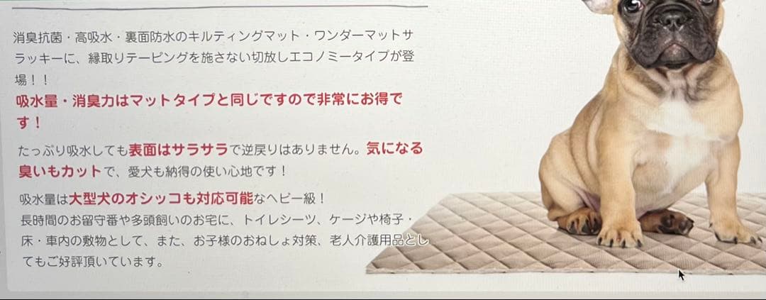 洗えるキルティングペットシート「サラッキー」