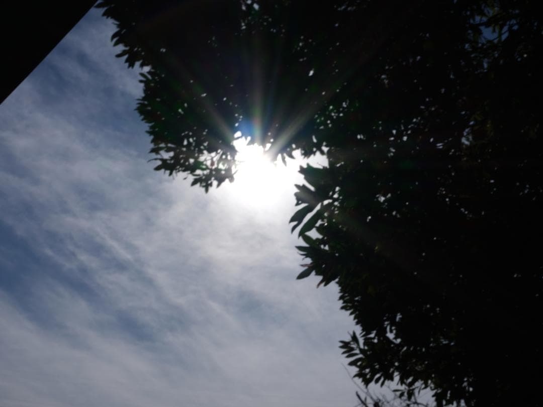 中判カメラの革命児！Fujifilm GF35-70mmF4.5-5.6 GFX