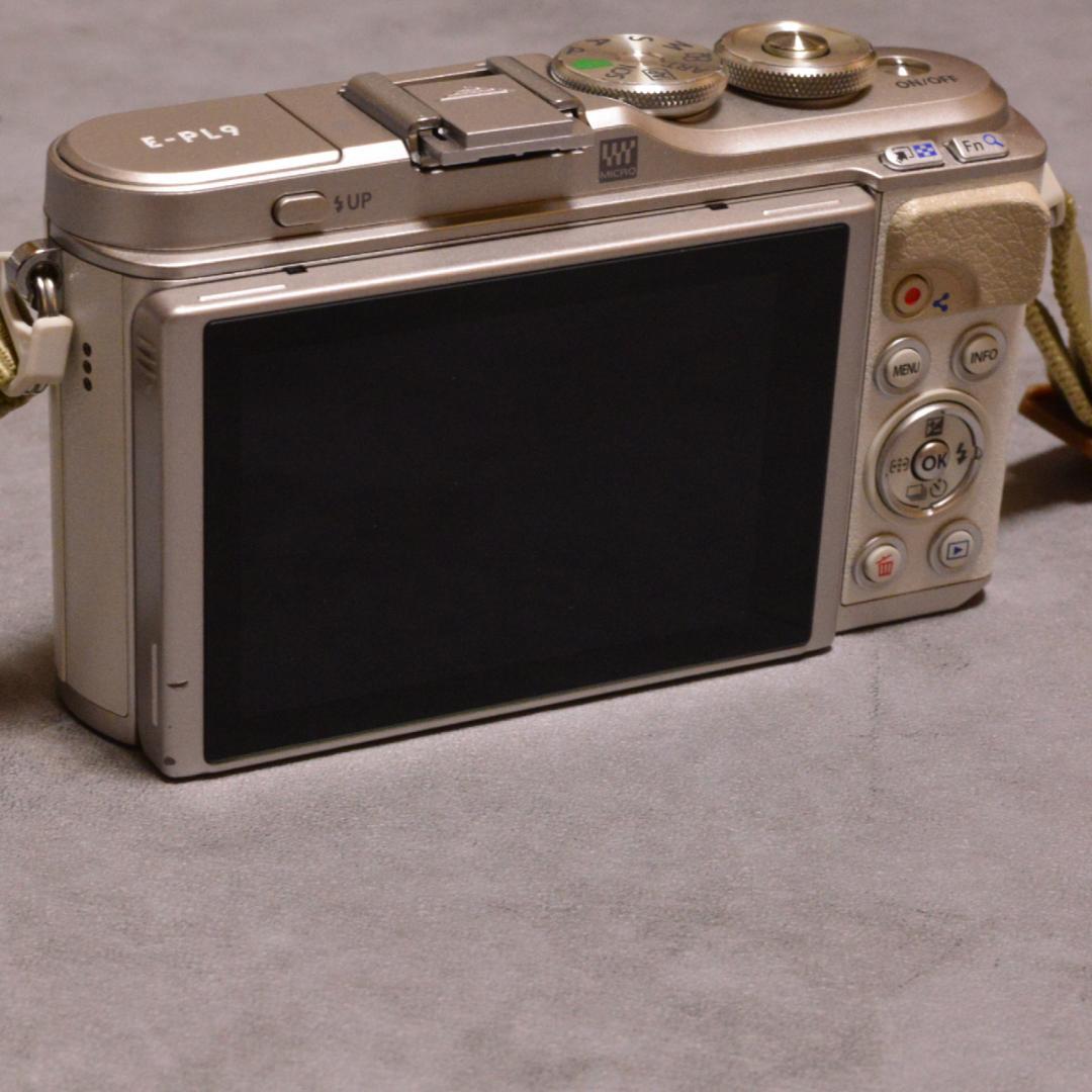 OLYMPUS PEN E-PL9 ダブルズームキット シャッター数644回