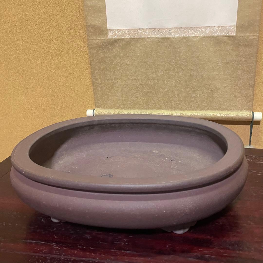 【落款あり】松泉焼 山秋造 楕円袋式雲足 紫泥 盆栽鉢 真柏 時代鉢