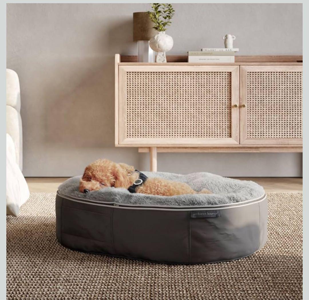 ながれ‼️Ambient Lounge ウルフグレー　ベーシックタイプ M