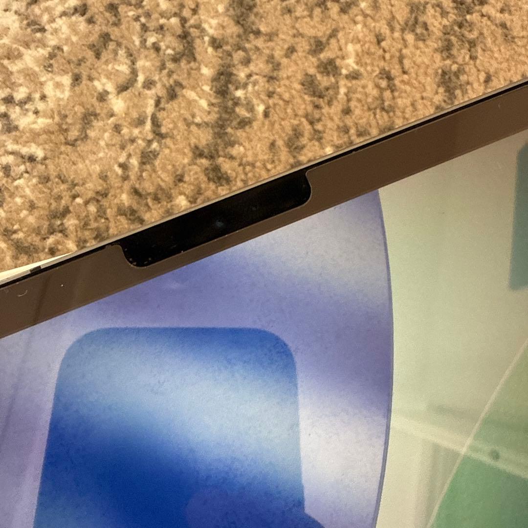 iPad Pro 12.9 第三世代　256GB cellularモデル