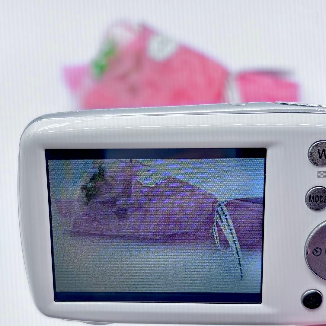 付属品完備 Panasonic LUMIX S1 箱付 デジカメ 美品 豆