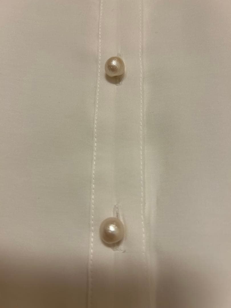 ビアズリー パールボタンシャツ Beardsley