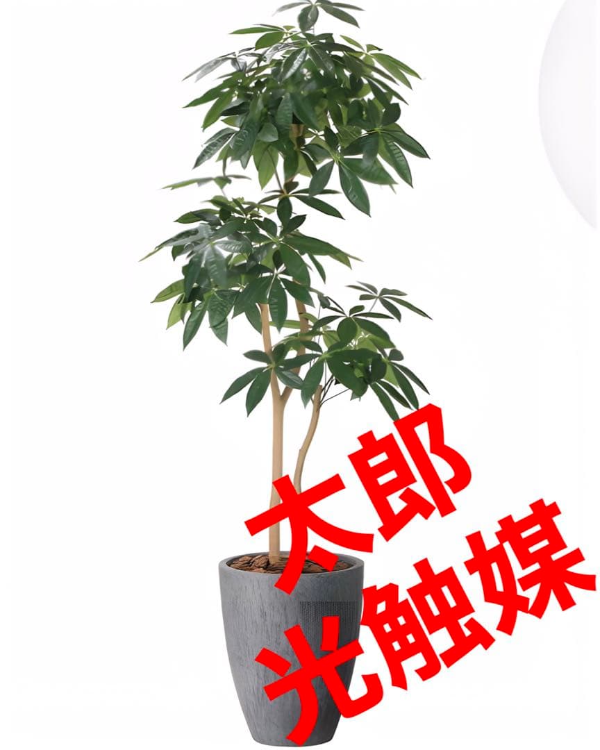 光触媒　人工観葉植物　フェイクグリーン　ナチュラルパキラ 1.8m