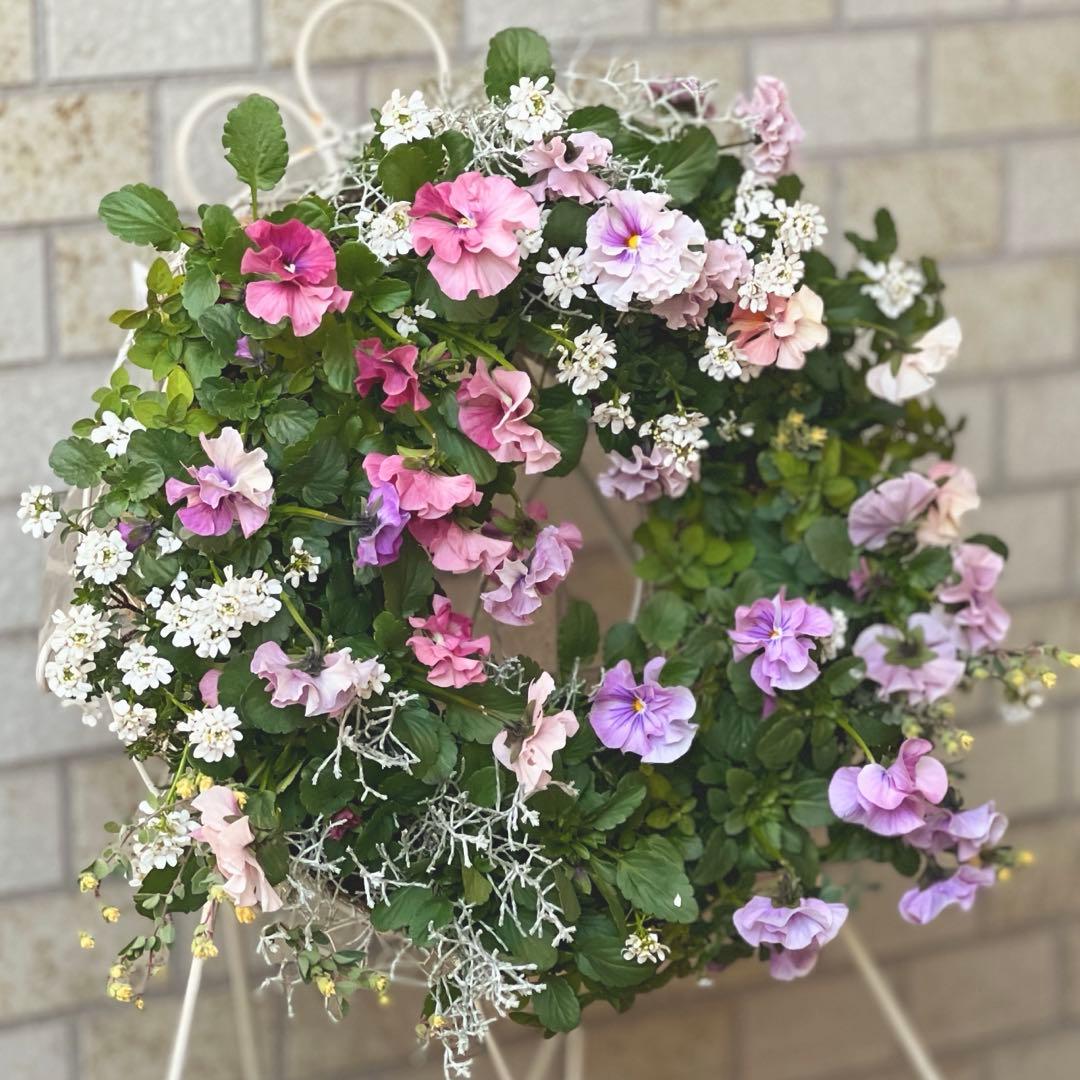 ＊ニュアンスカラーのビオラと小花の寄せ植えリース＊