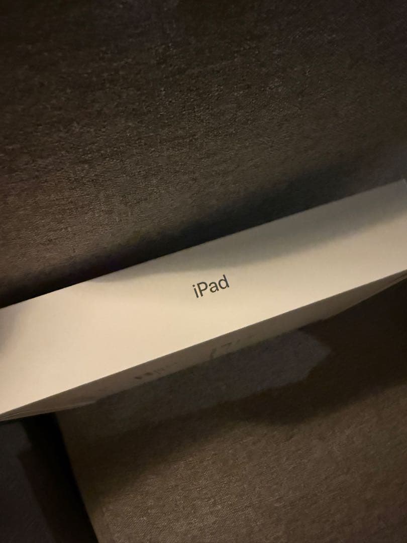 iPad(A16) 11世代 128GB wi-fi 本体 シルバー