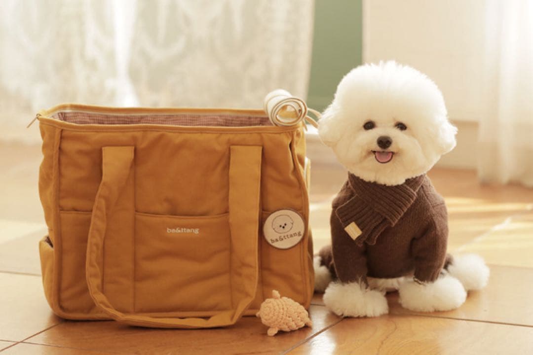 韓国ブランド　ba&ttang キャリーバッグ　クッション付き　小型犬 お出かけ