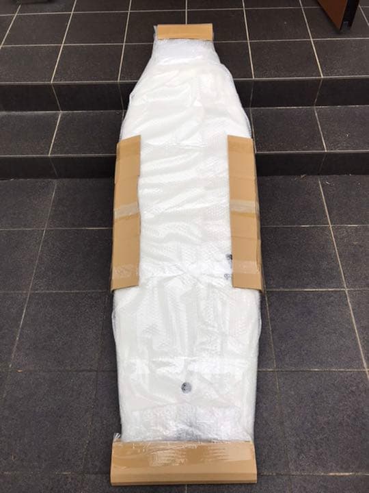 ツインフィッシュ