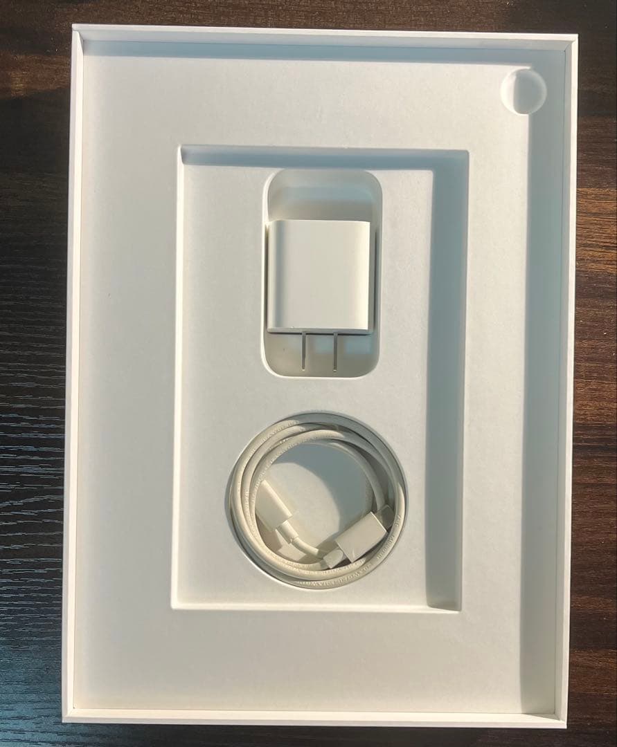 Apple iPad 第10世代 256GB Wi-Fiモデル シルバー 本体