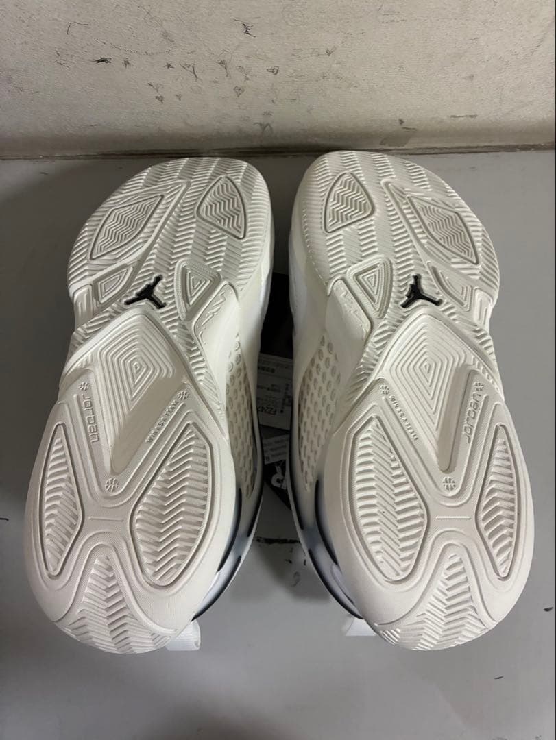 WMN JORDAN HEIR PF 110カラー 24.0㎝