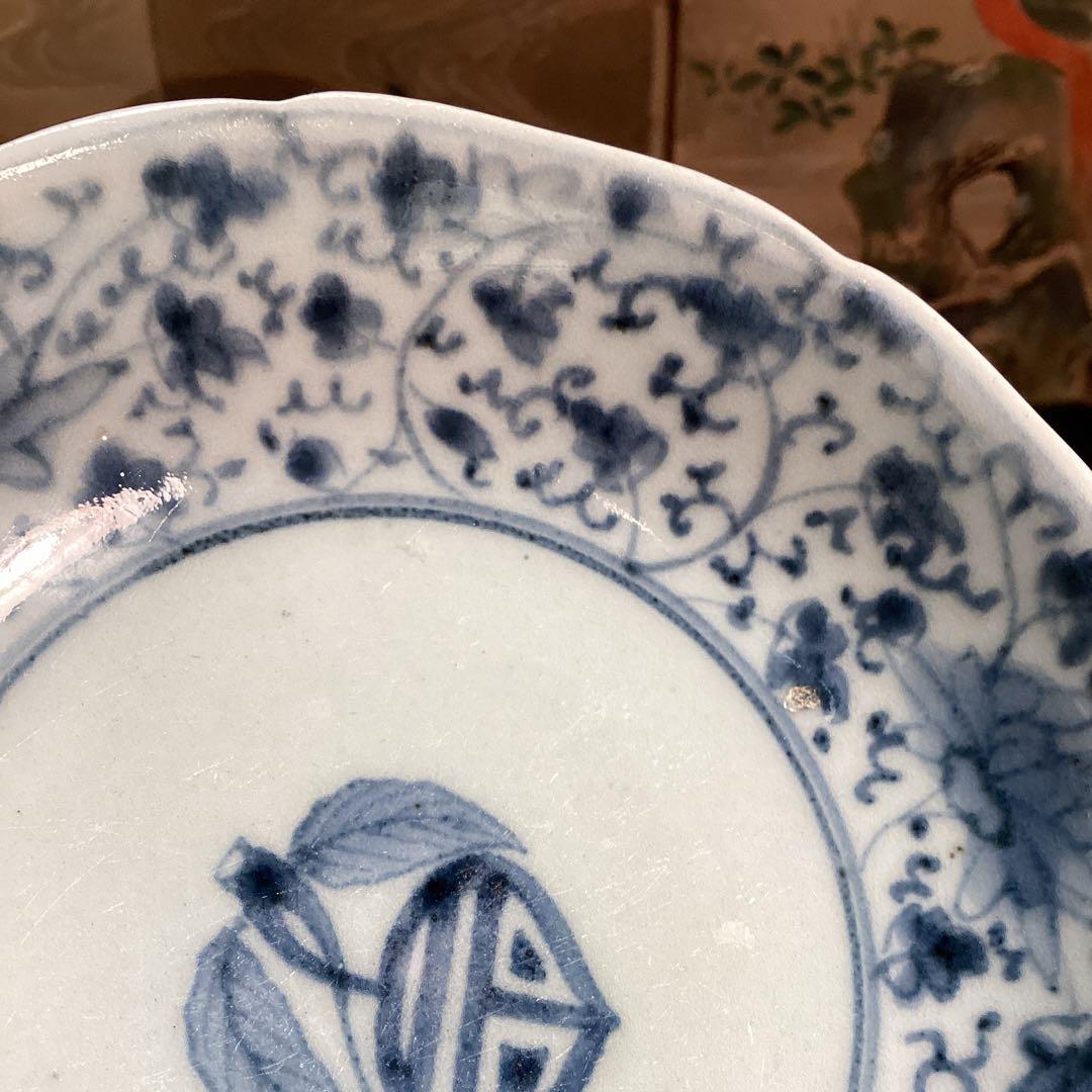 A996❷古伊万里　染付（柿右衛門）花唐草　見込栗紋様　輪花型　膾皿　1枚