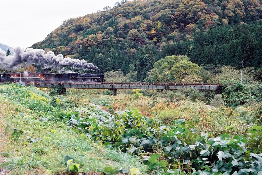 コンタックスRTS／プラナー50mmf1.7付【実写確認済整備品】