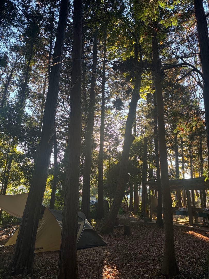 ogawa シャンティ23 テント