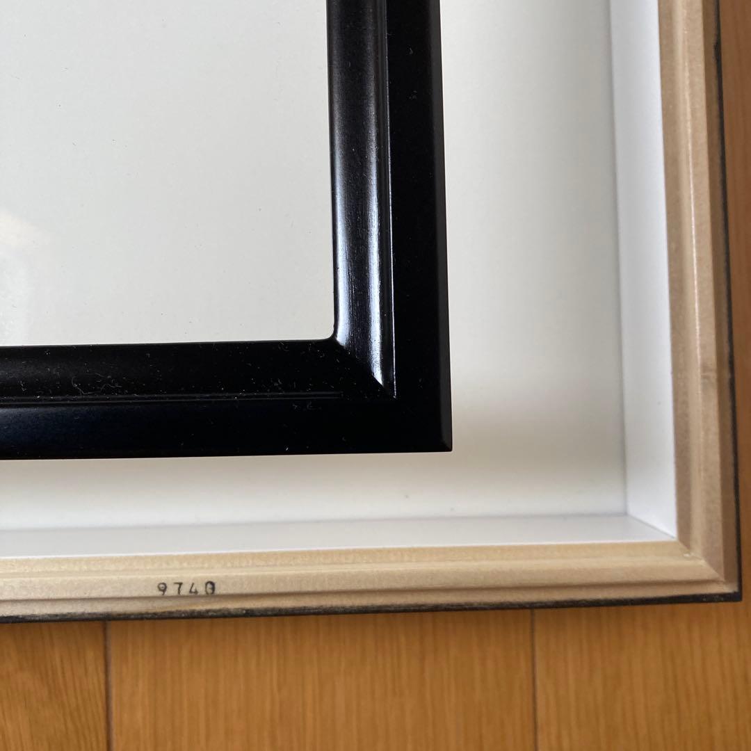 標本箱 ドイツ箱　針　板