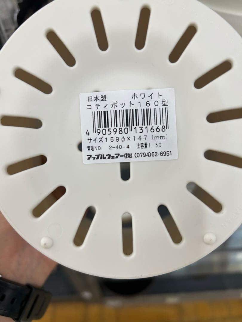 ポトスライムコンパクト