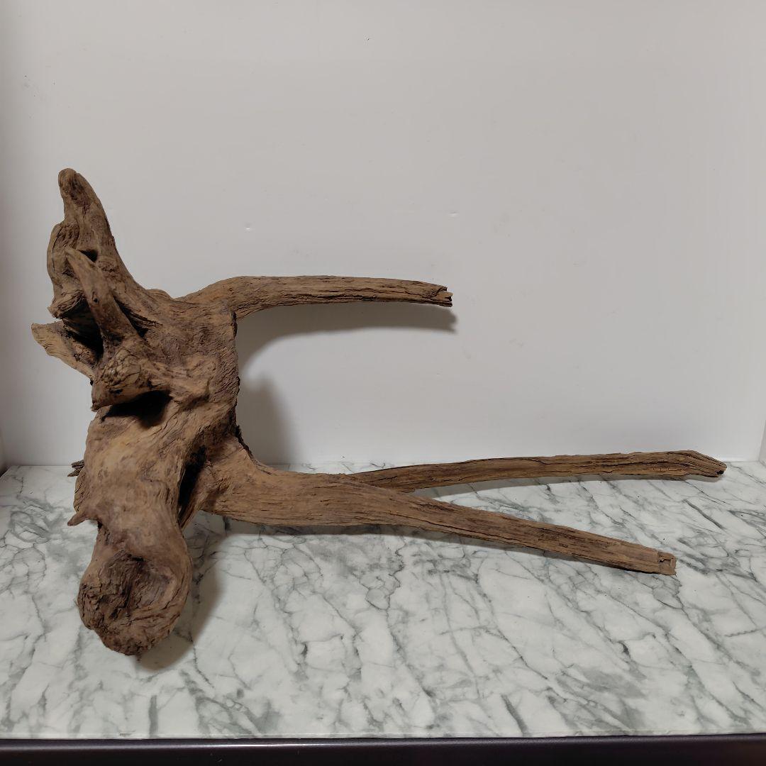 アク抜き済み流木【１】