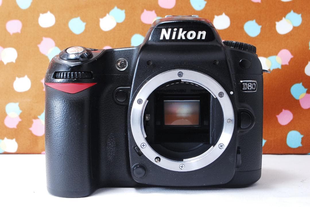 ✨届いてすぐ使える✨初心者オススメ✨Nikon D80 レンズセット