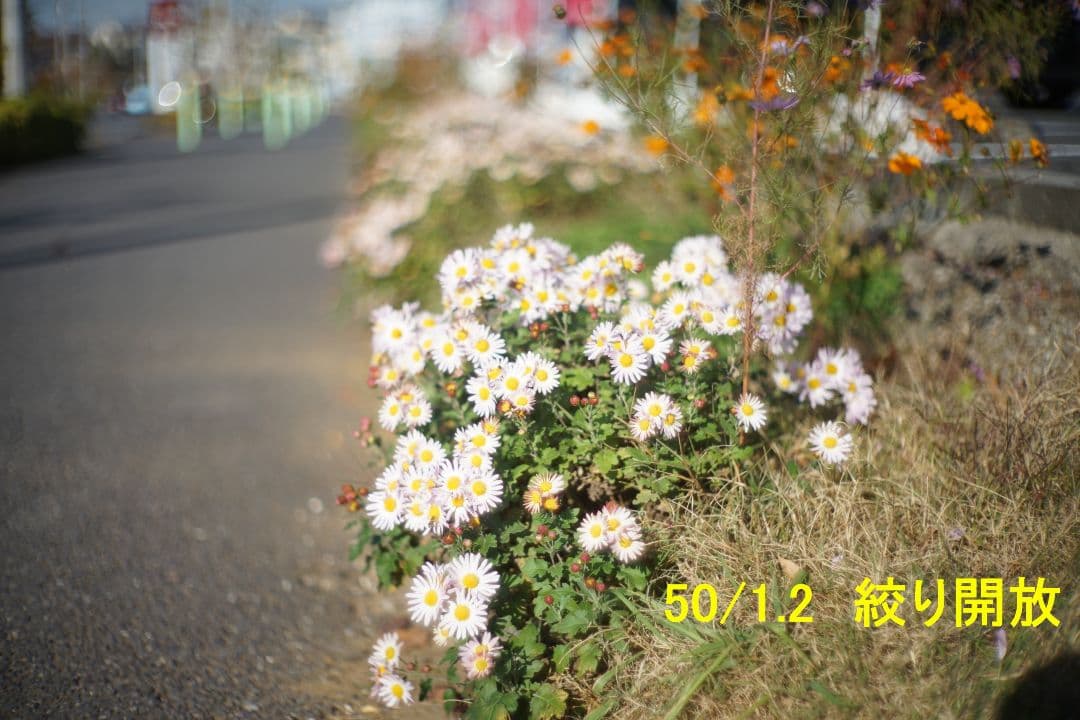 Canon 50mm F1.2 (Lマウント)