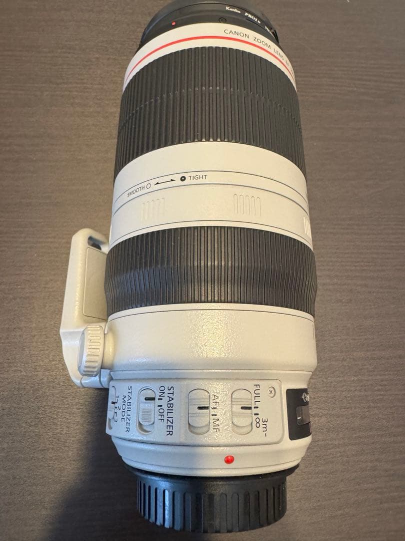 Canon EF 100-400mm F4.5-5.6L IS II キャノン