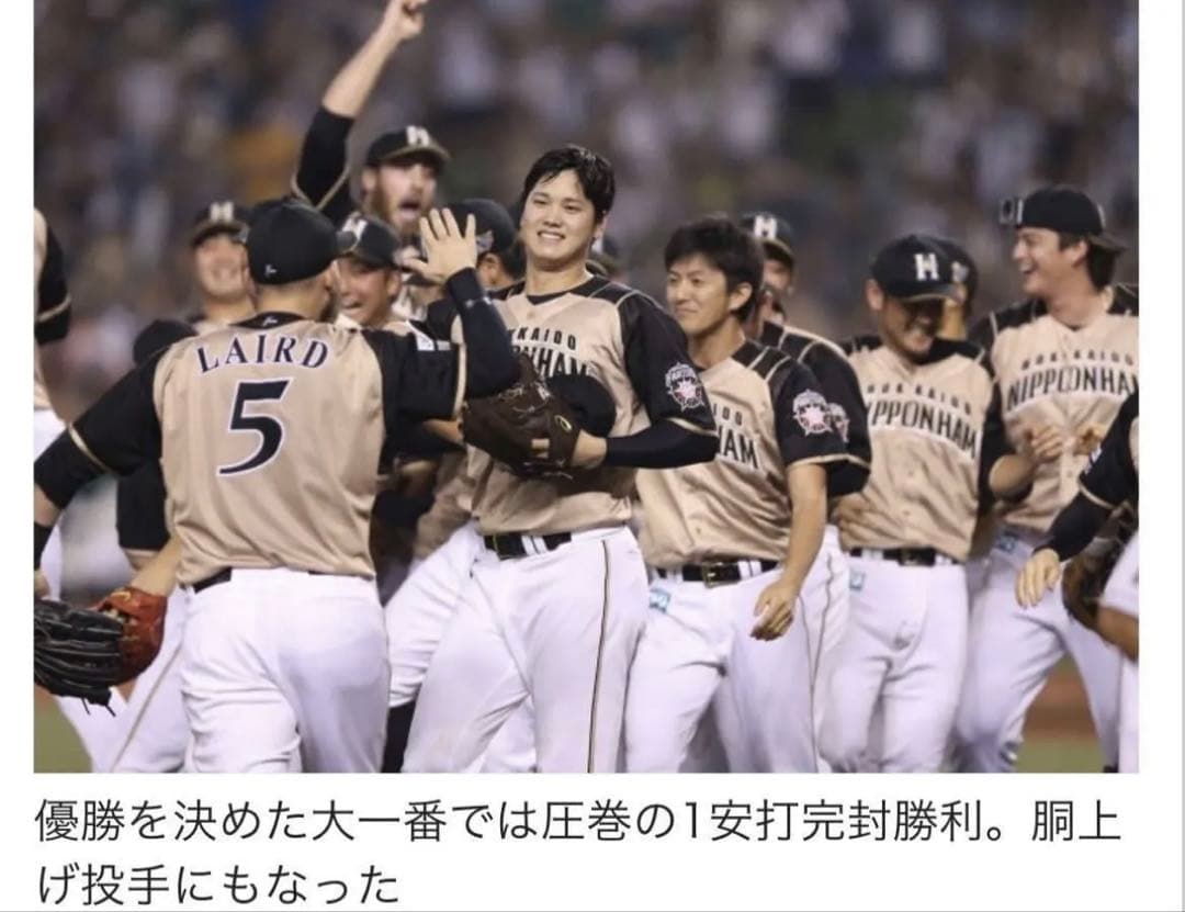 北海道日本ハムファイターズ　大谷翔平選手ユニフォーム　ビジターモデル　Mサイズ