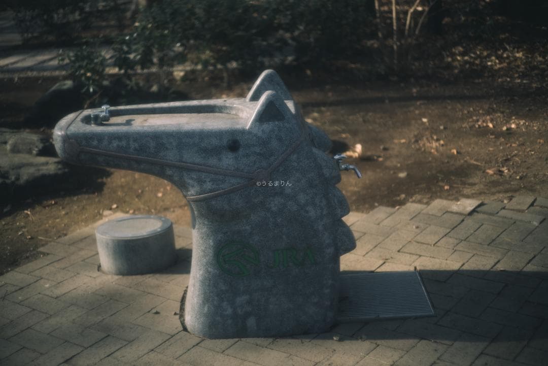 銘玉！Leica Summicron 50mm 1st Collapsible