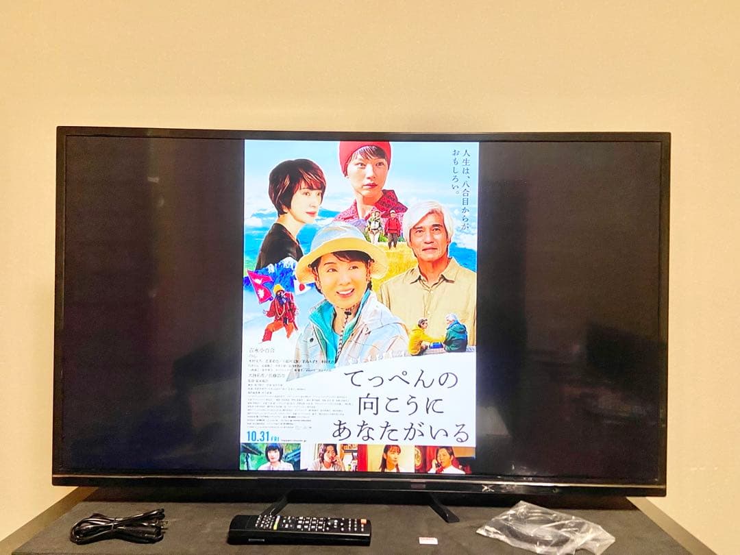 【今だけ優待価格】JOY 43V型4K・Wチューナー/外付HDD録