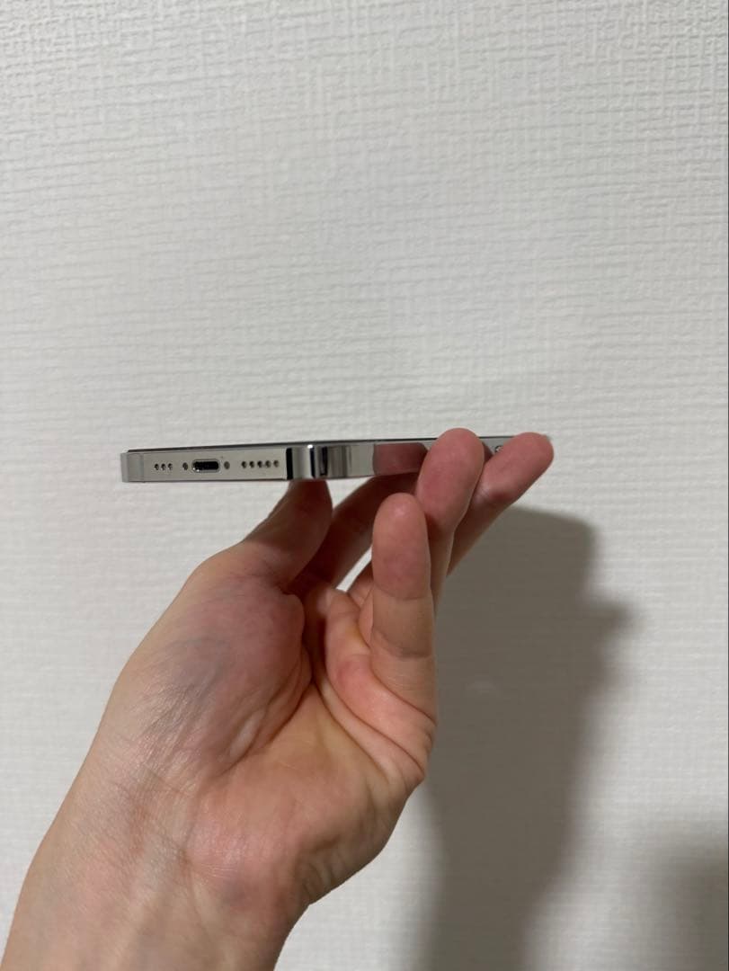 Apple iPhone 13 Pro シルバー 本体256GB