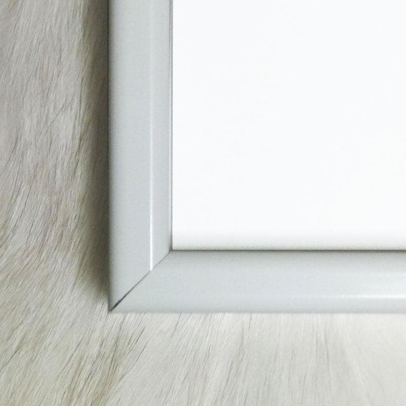 はぴこ Homage to the Square/ジョセフ アルバース