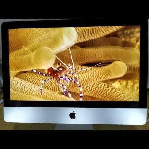 iMac 21.5 2015年　SSD 256GB