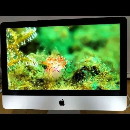 iMac 21.5 2015年　SSD 256GB