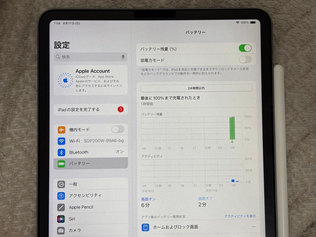 Apple iPad Pro (11インチ) 256GB 第一世代＋Pencil