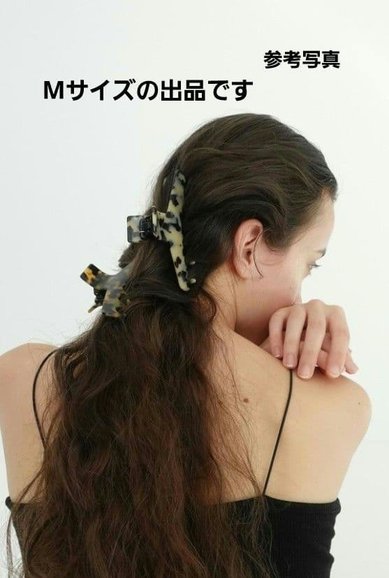 【アルビノス】Mクリップ◇アレクサンドルドゥパリ