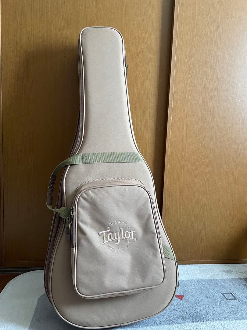 Taylor 210ce ソフトハードケース・新品弦付き