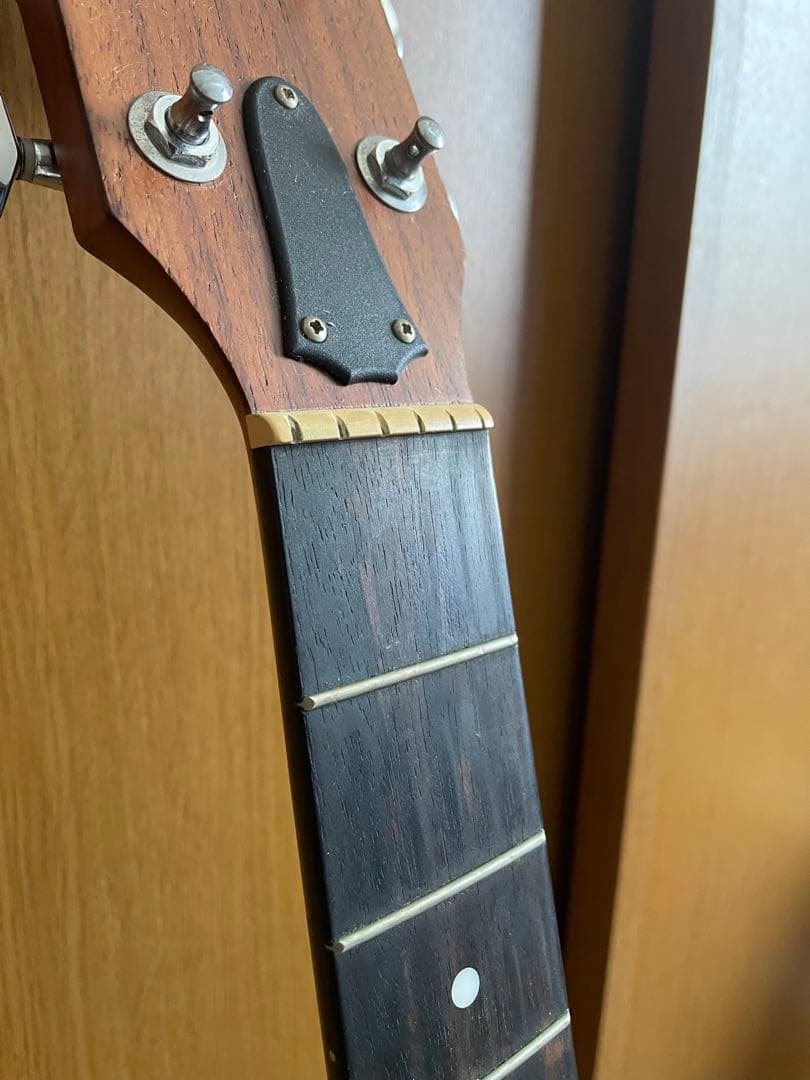 Taylor 210ce ソフトハードケース・新品弦付き