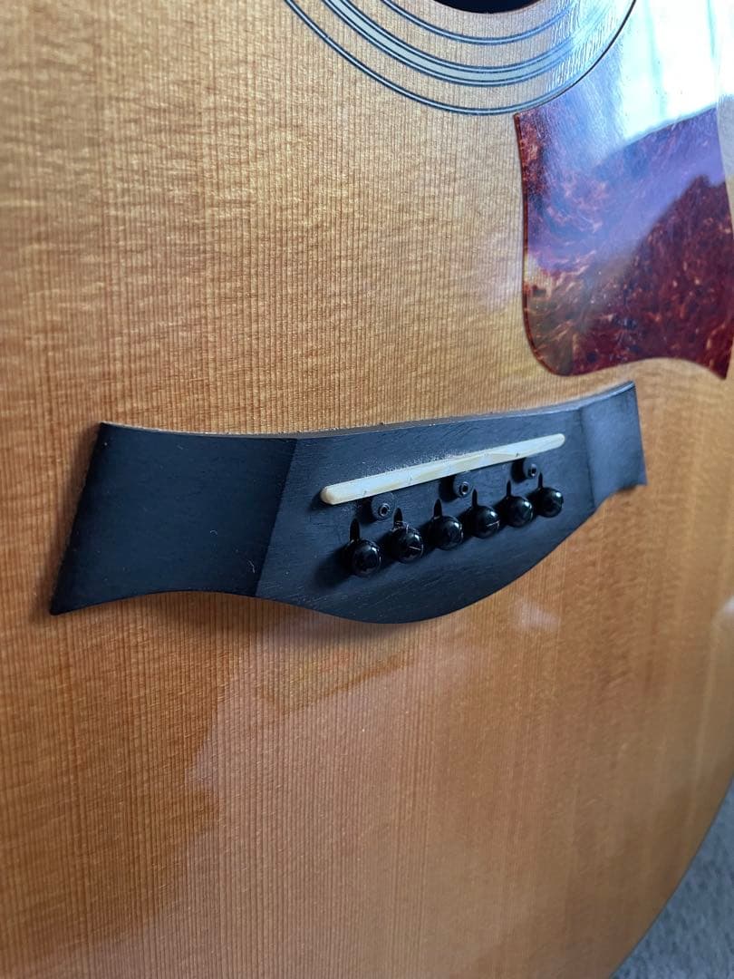 Taylor 210ce ソフトハードケース・新品弦付き