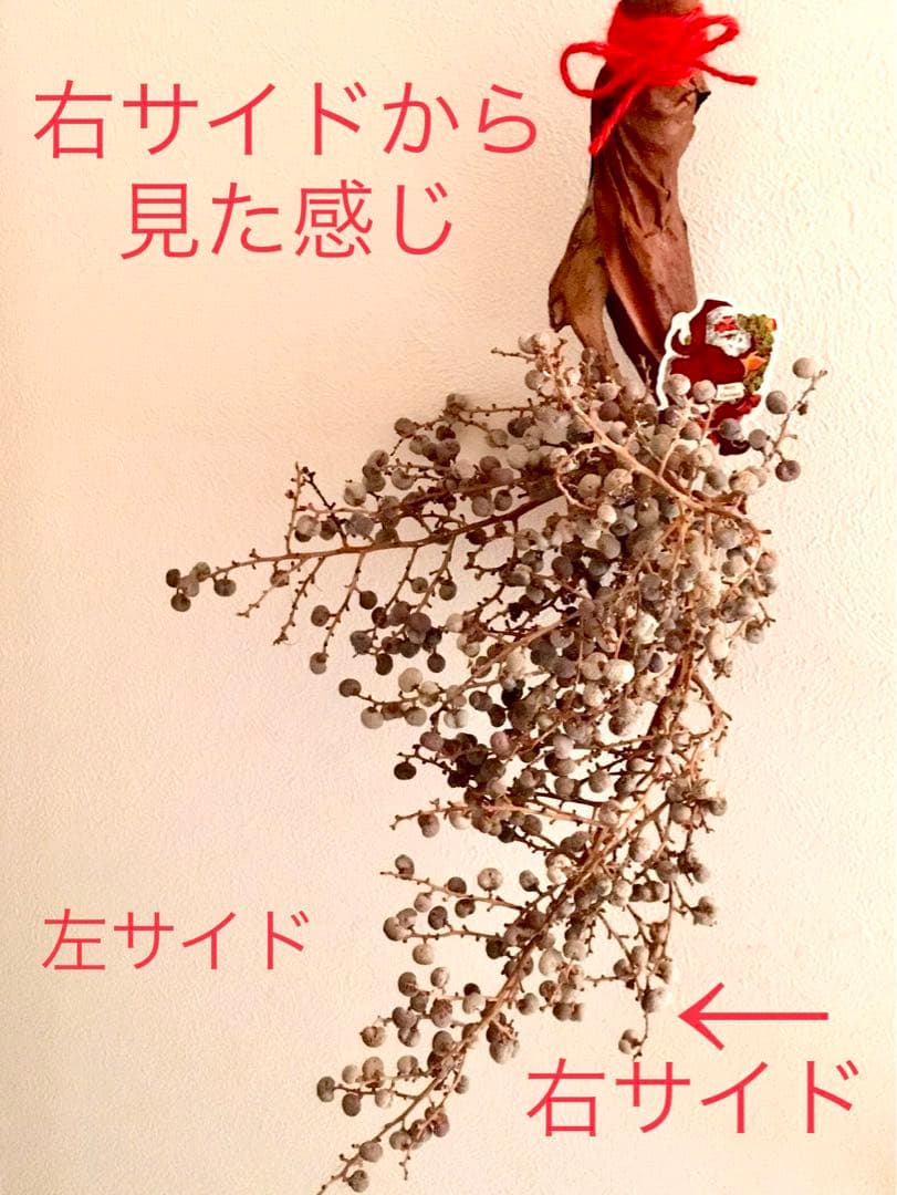 完売　　縁起木＊希少＊高級花材【棕櫚の実＊シュロの実】クリスマス花材/クリスマス