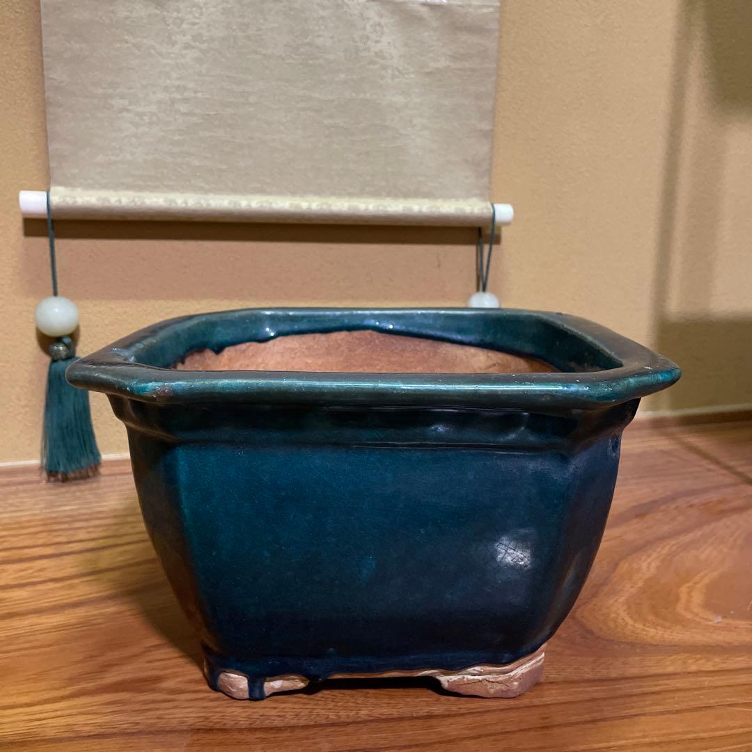 盆栽鉢 陶器製 八角形 釉薬 広東鉢 大型