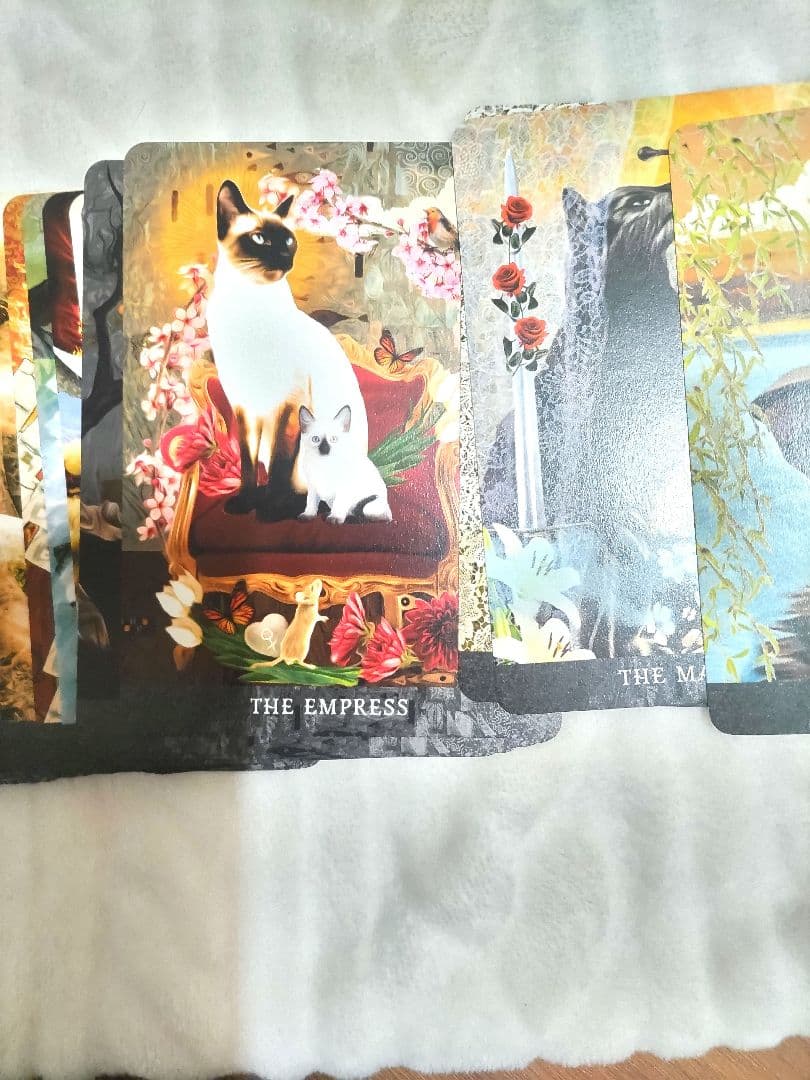 Y’s garden☆日本未入荷✨新品未使用✨正規品✨猫タロット✨1点のみ
