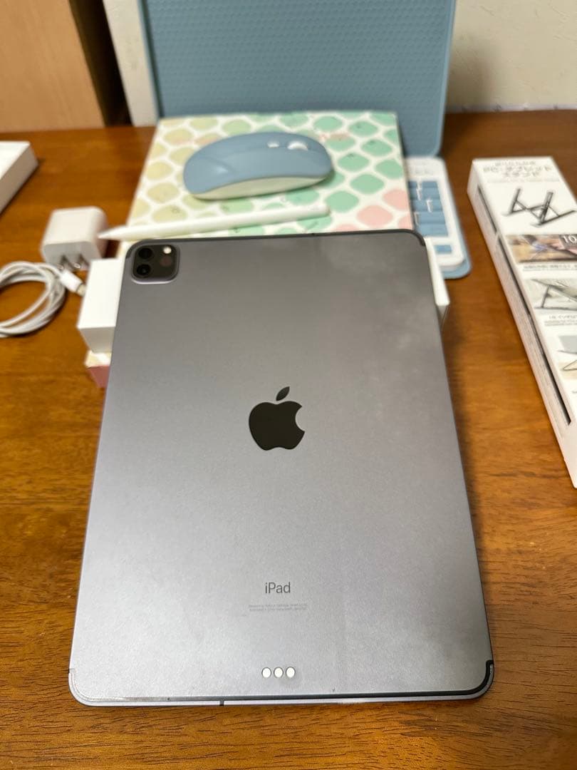 【極美品】 ipad pro 11インチ 第2世代 256GB SIM フリー