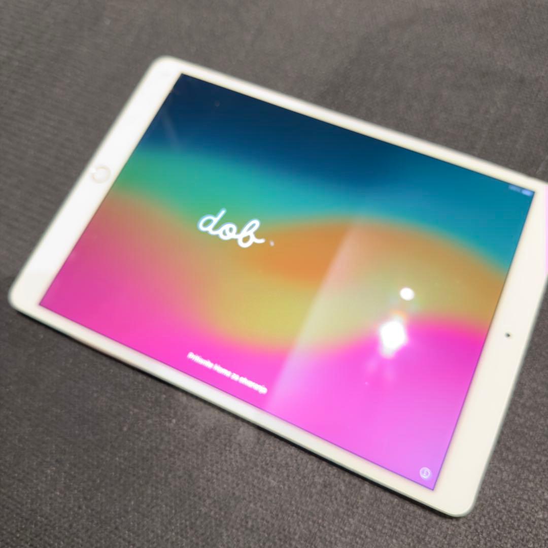 iPad Pro 10.5インチ256MB 付属品全てあり　画面割れあり