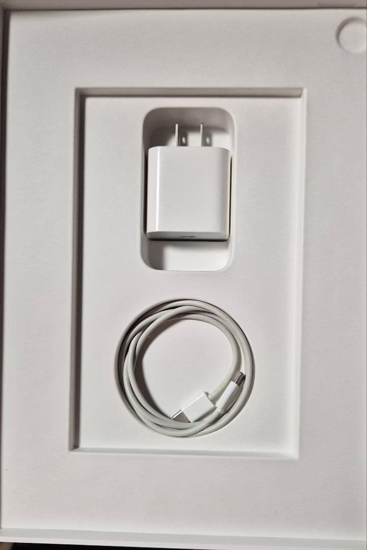 iPad Air 第4世代 スカイブルー + Apple Pencil