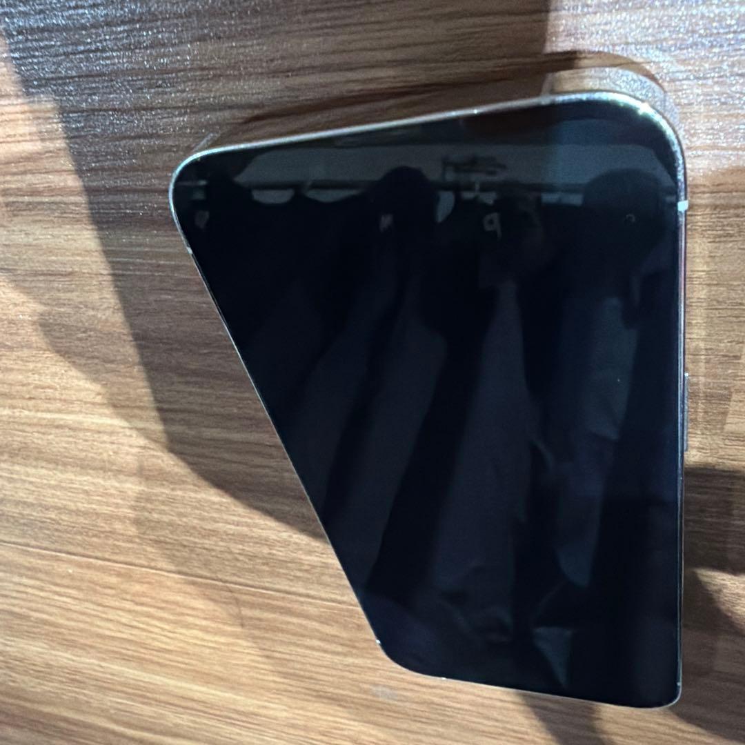 iPhone 13 Pro シルバー 背面ひび割れ